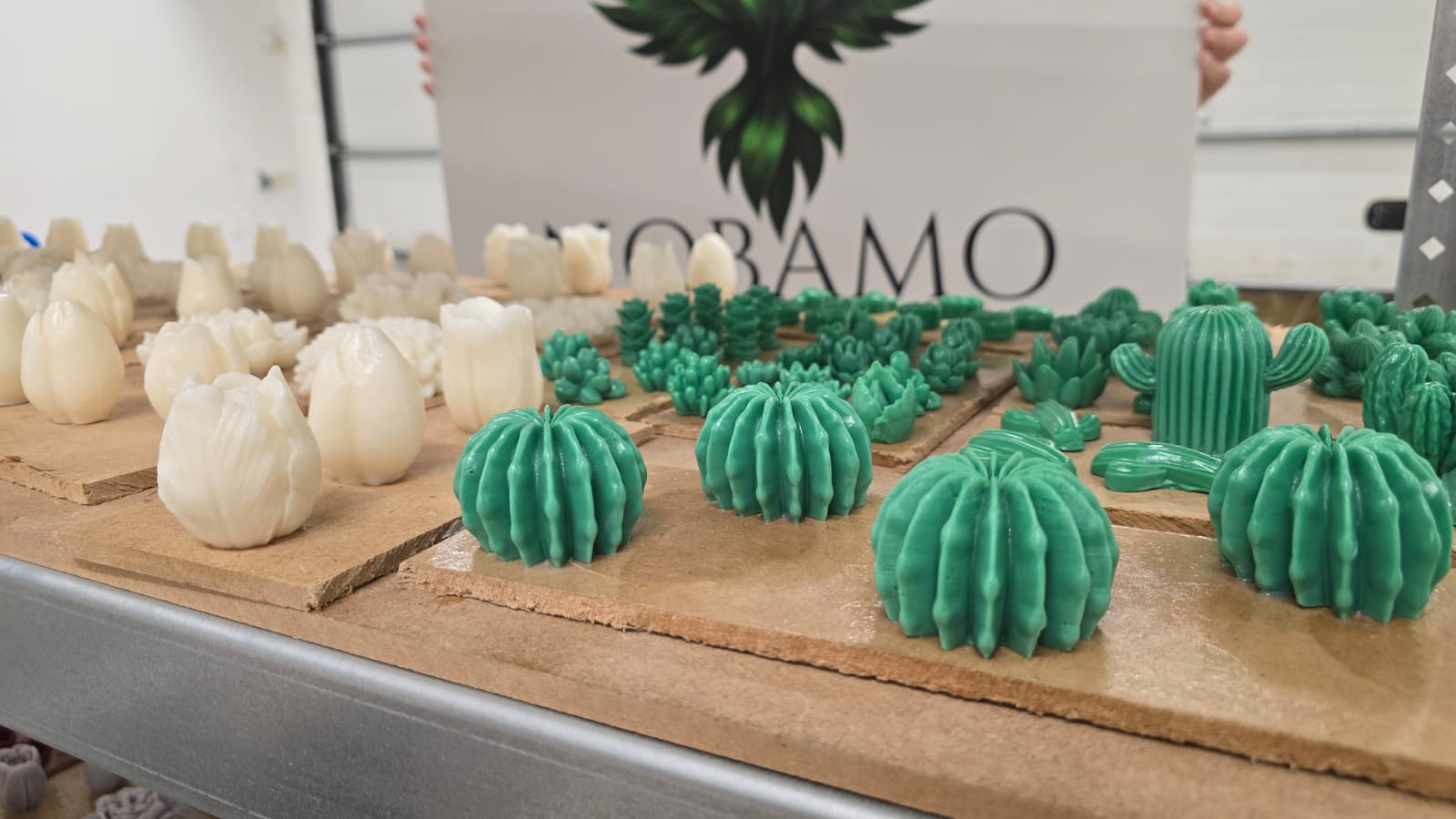 Bougies en forme de tulipes et de cactus