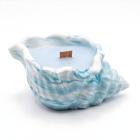 Bleu / Coton