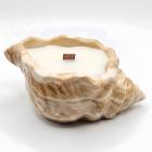 Sable / Prune sauvage, rose, patchouli