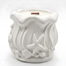 Bougie Océan - Blanche / Eucalyptus, Camphre