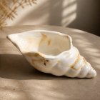 Náhľad 6